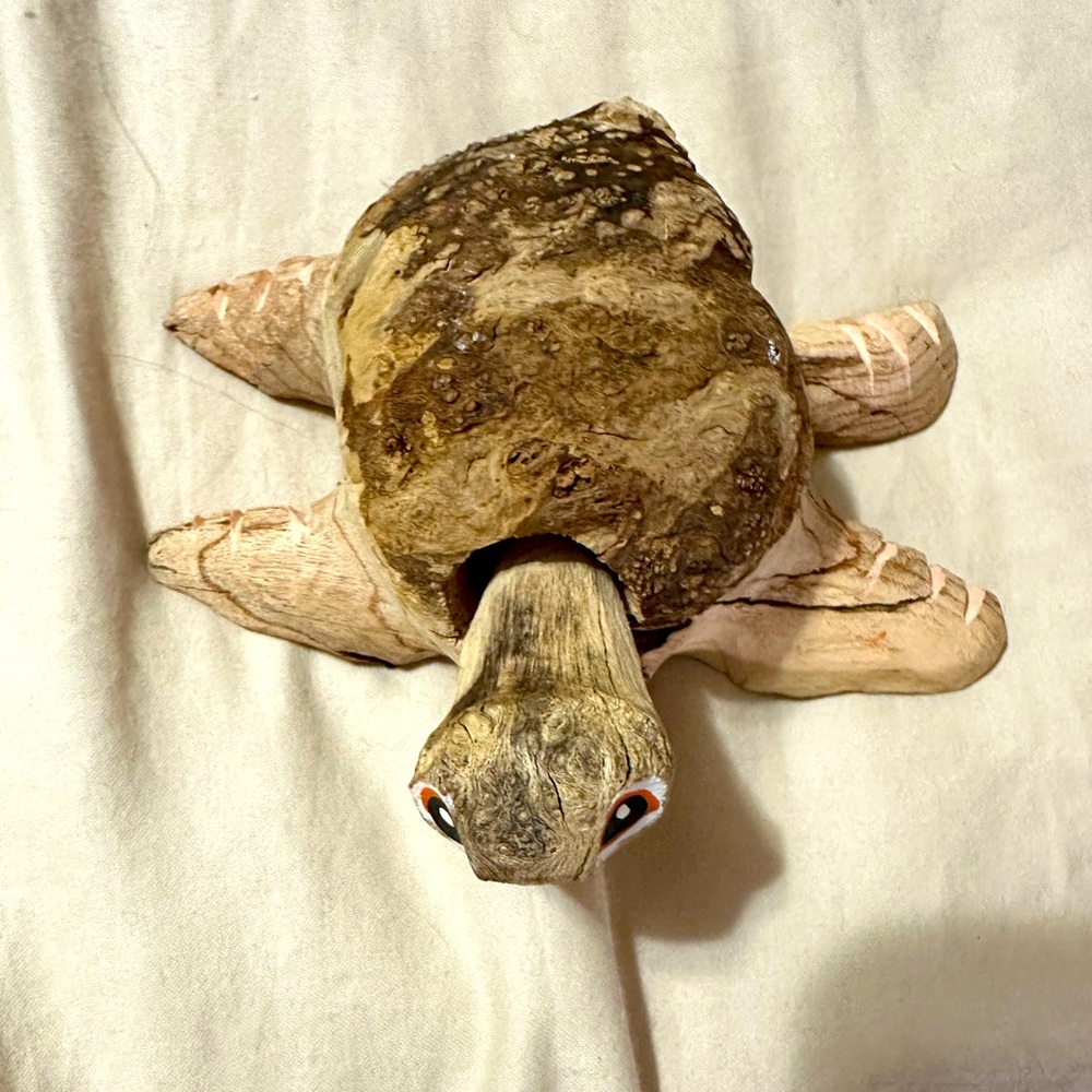 Handmade turtle